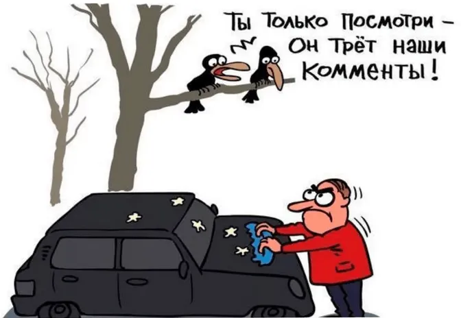 Птички на проводе: почему русские соцсети порождают злость и ненависть