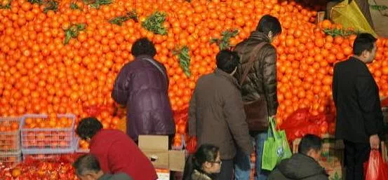 Мандарины с вирусом гриппа: что продают в латвийских магазинах