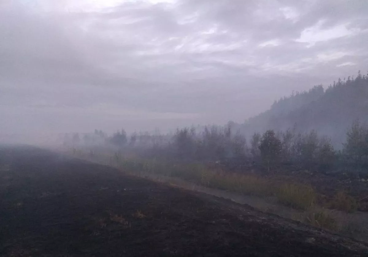 В Карсавском крае горит торфяное болото, ветер гонит огонь в глубь леса