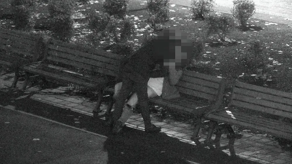 И не замерзли: парочка занялась сексом в рижском парке (ВИДЕО)