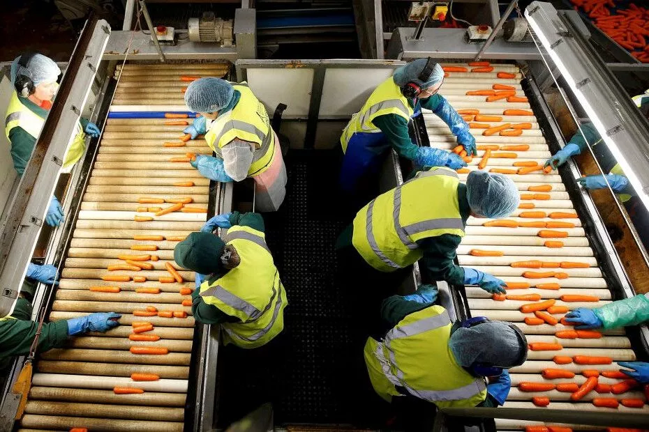 Reģistrētā bezdarba līmenis Latvijā jūnija beigās pieaudzis līdz 5%