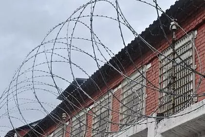 В Закарпатье депутат взорвал три гранаты на заседании сельсовета и получил пожизненное
