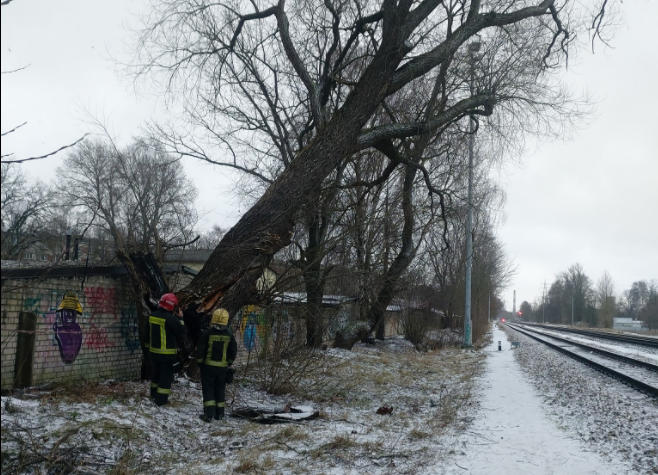Glābēji līdz šim saņēmuši 12 izsaukumus par spēcīgā vēja nolauztiem kokiem un norautām jumta konstrukcijām