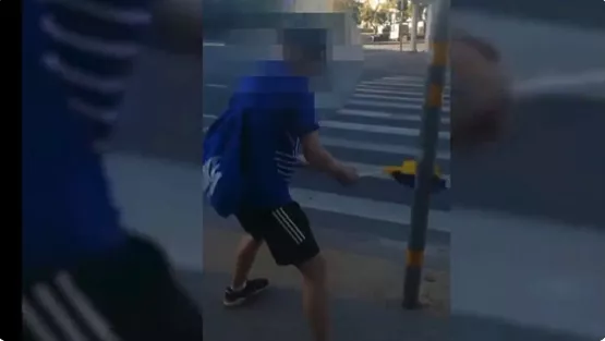 «Это не национальный флаг, а просто тряпка»: молодые люди в Верманском парке публично сожгли флаг Украины (ВИДЕО)