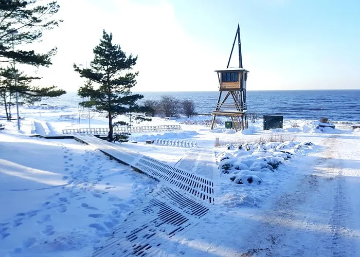 Зажгут чудодейственные свечи: как отпразднуют Новый год в Саулкрасты