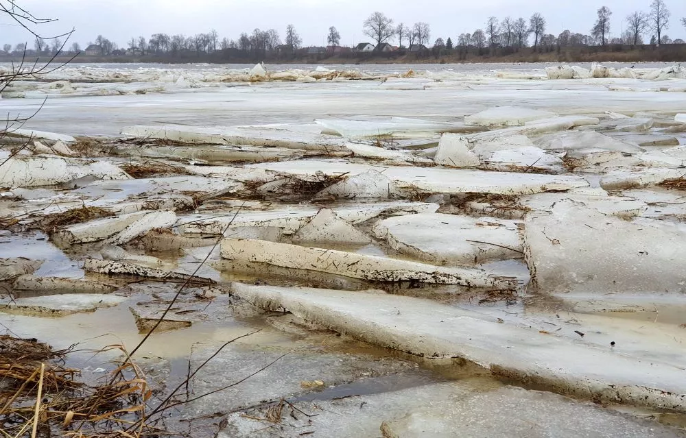 Glābēji krastā palīdz nokļūt pa ledus vižņiem Daugavas vidū kāpelējušam vīrietim
