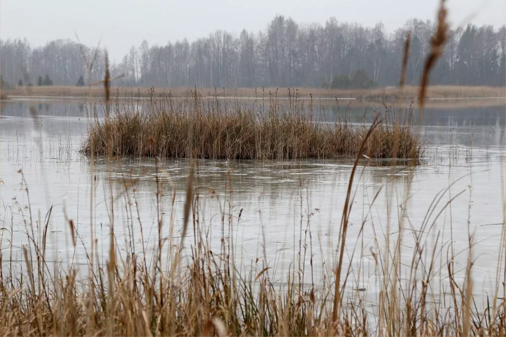 «Lauku ceļotājs»: Lauku tūrisms piesaista ar neskartu dabu un maz cilvēkiem