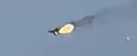 В России разбился истребитель МиГ-31 (ВИДЕО)
