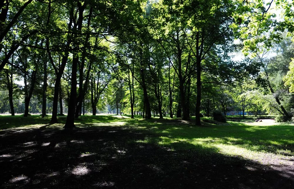 Aldara parku Rīgā pārdēvēs par Dauderu parku