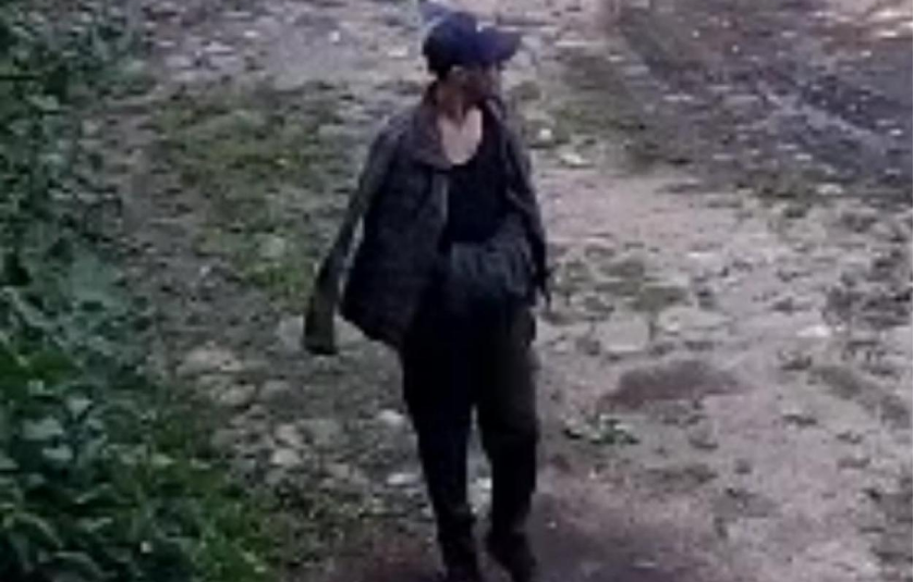 Дело бежавшего из полицейской машины Цесманиса суд рассмотрит в конце ноября