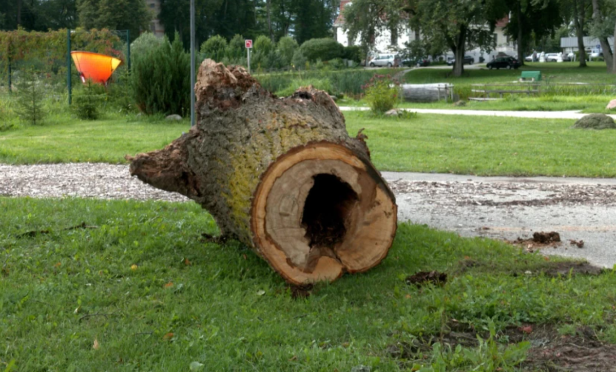 Svētdien glābēji saņēmuši teju 100 izsaukumus spēcīgā vēja radīto postījumu dēļ