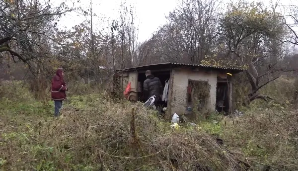 «Даже кролики живут лучше»: неходячей женщине в Риге приходится жить в ветхом садовом домике