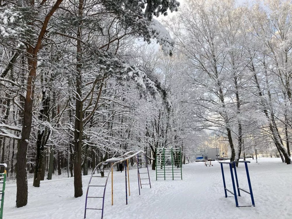 Naktī sniega sega palielināsies par 5-8 centimetriem