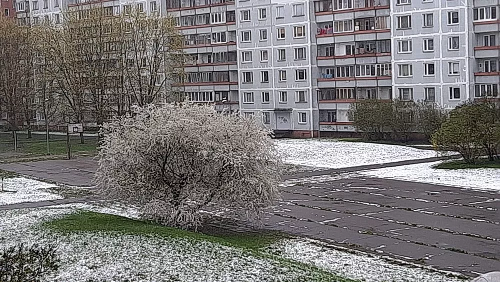 Синоптики не порадовали прогнозом на субботу