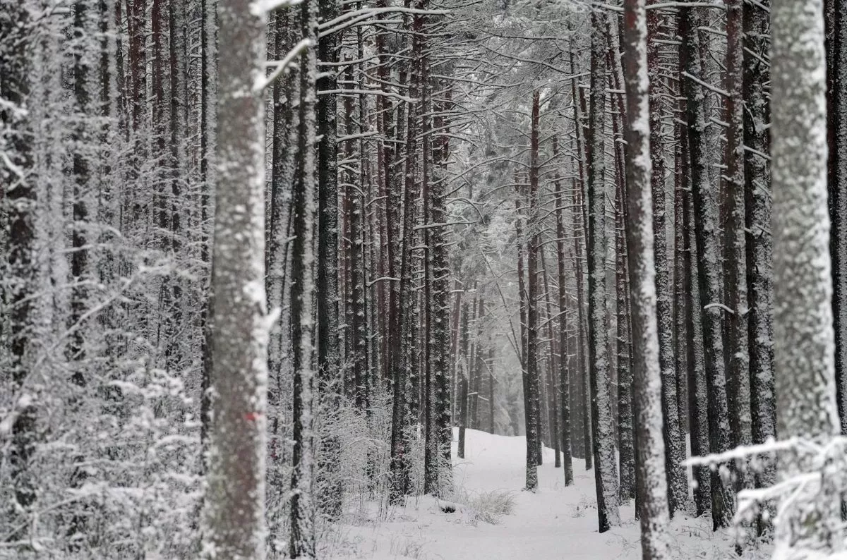 Trešdien laiks kļūs sausāks