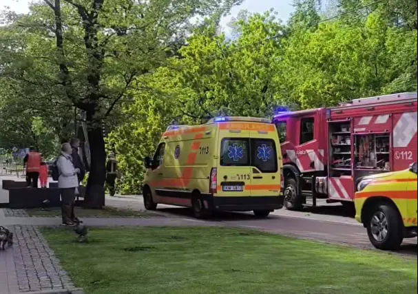 Движение на улице в центре Риги заблокировано: дорогу перекрыло рухнувшее дерево (ВИДЕО)