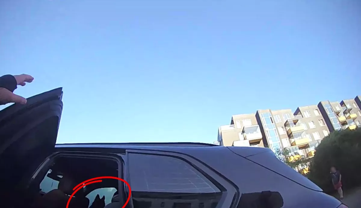 Pašvaldības policisti atbrīvojuši sakarsušā automašīnā atstātu suni