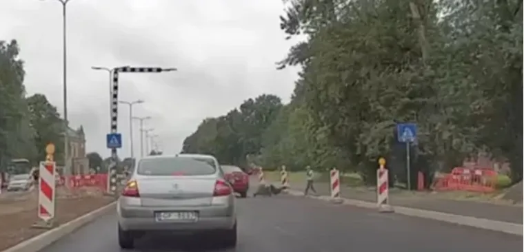 «Ребенок так сильно кричал!» Подробности ужасной аварии на пешеходном переходе