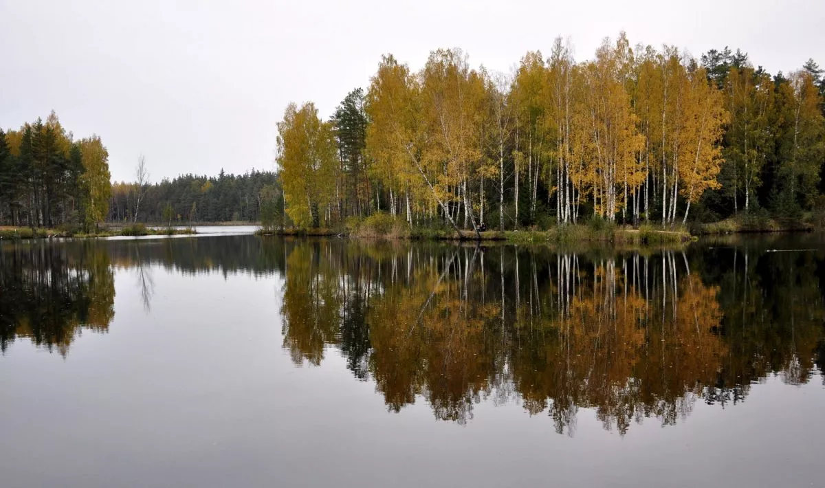Septembra izskaņa Latvijā nāks ar rudenīgāku laiku un pirmajām salnām