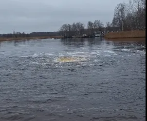 Кит или НЛО? Рижанин заснял загадочное явление на озере Юглас (ВИДЕО)