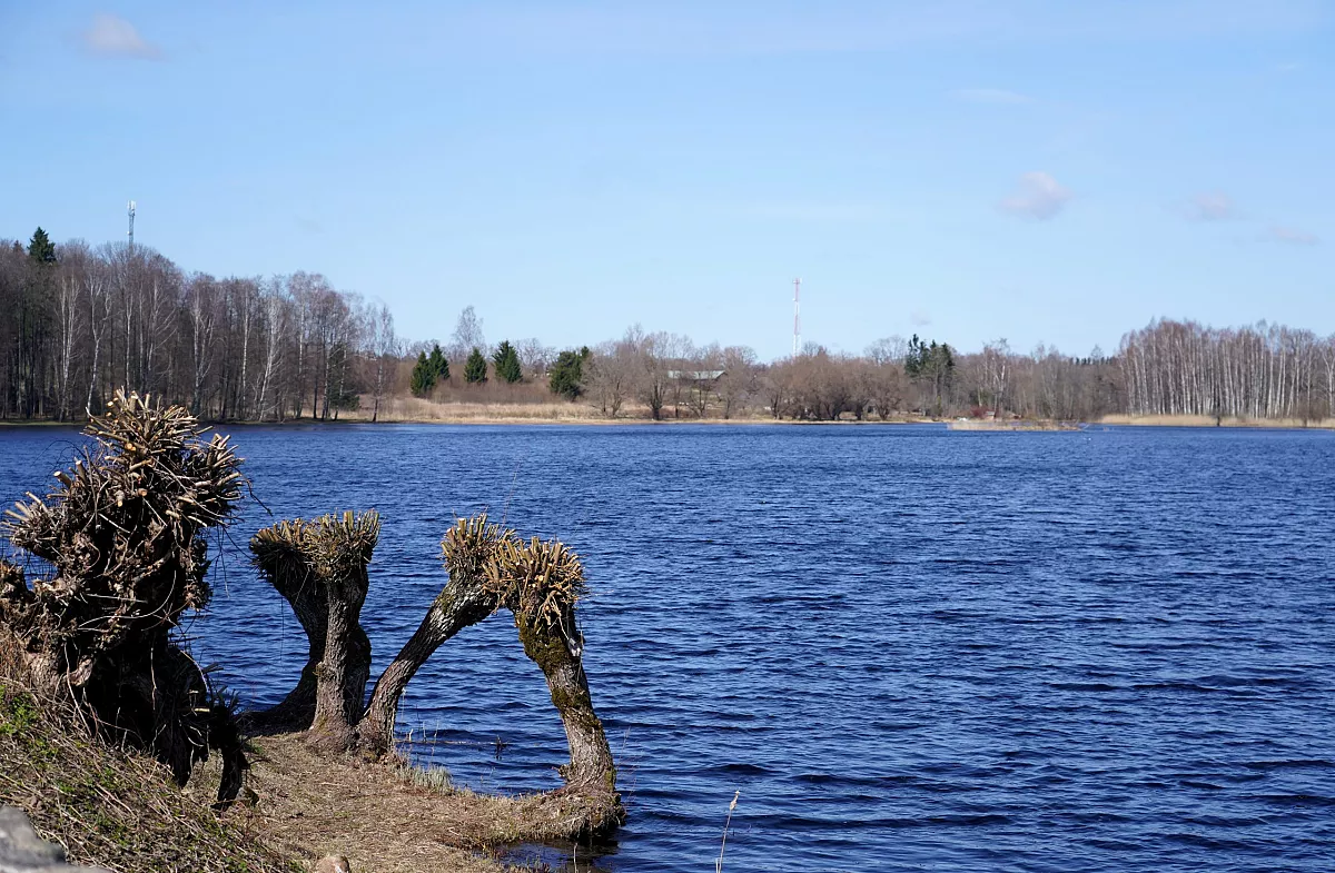 Gaisa temperatūra ceturtdien nepārsniegs +8 grādus