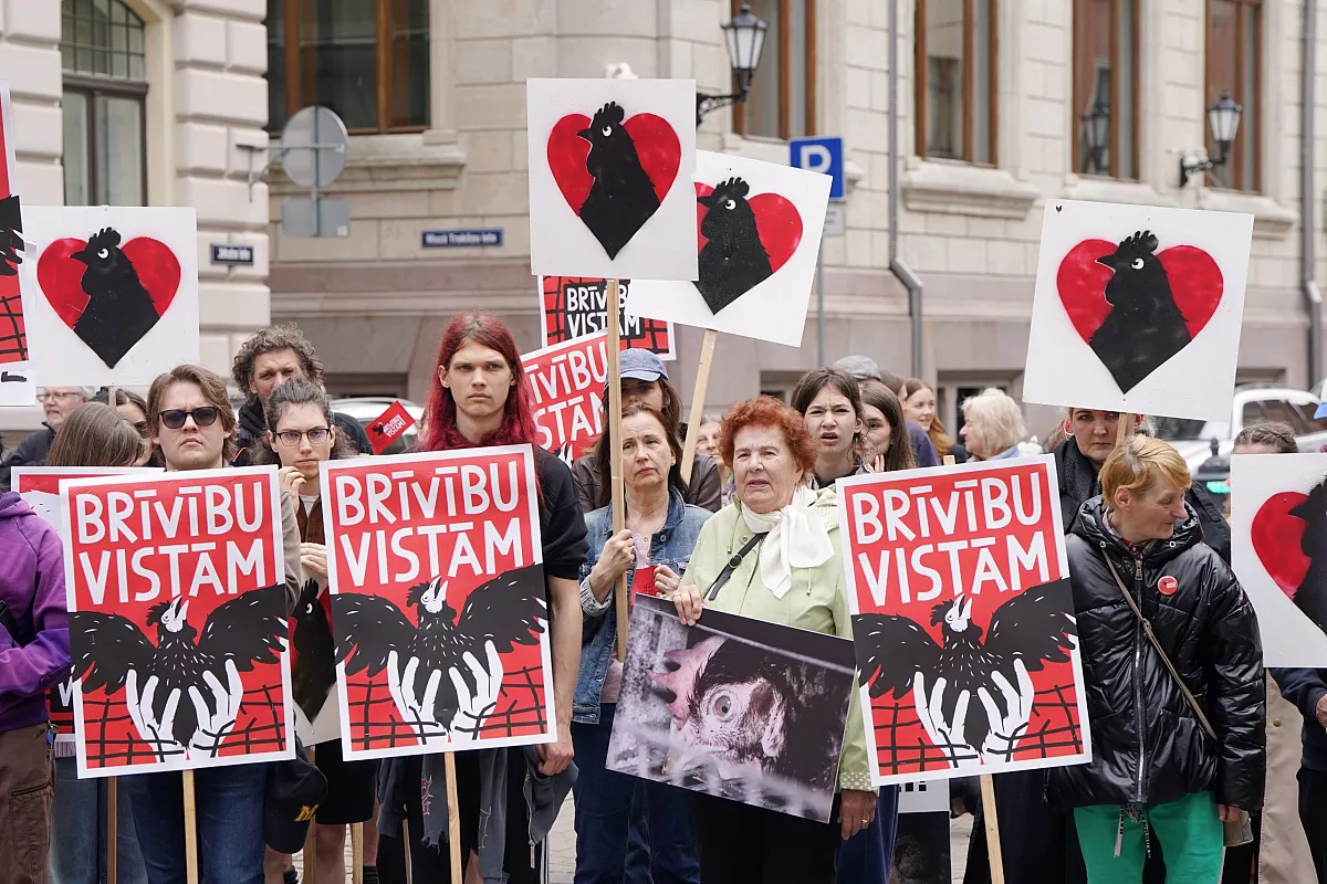 Gājienā par dzīvniekiem mudina Saeimu pieņemt vistu sprostu aizliegumu
