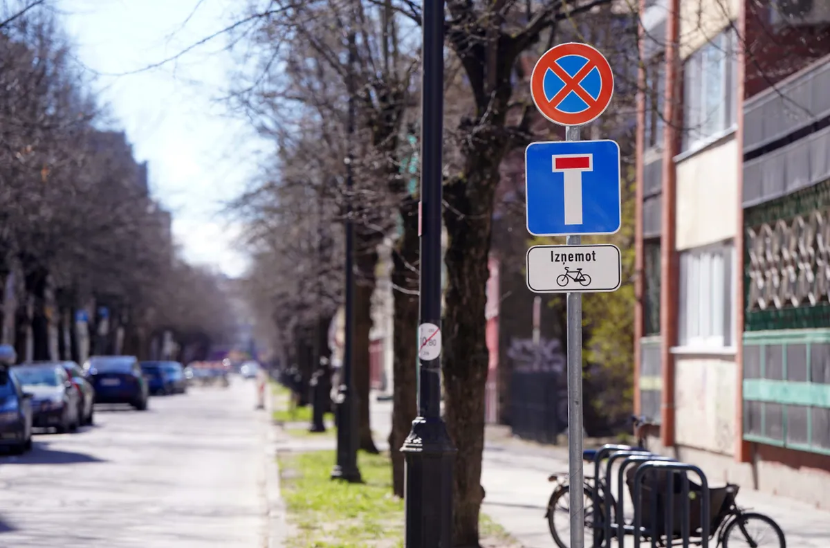 «Дайте мне санки — в лес уеду»: открытое письмо жителя Гризинькалнса Марте Котелло