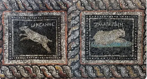 Изя и Ося пережили хозяина на 1800 лет