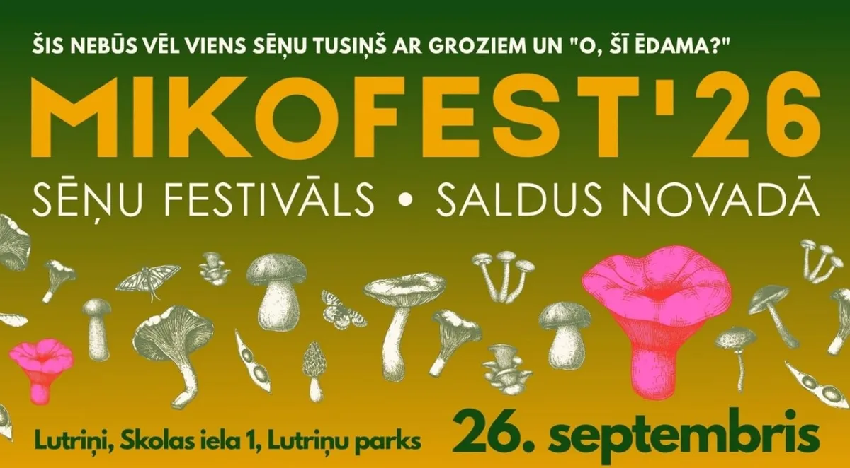 Грибы можно услышать, понюхать и увидеть в темноте. Что готовит MIKOFEST? (видео)