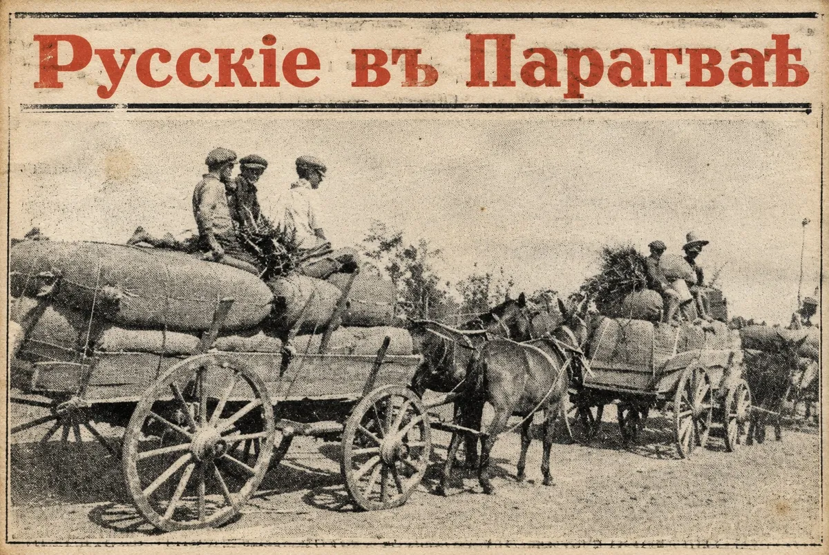 Из огня да в полымя: как русские бежали от революции — и попали на войну в Парагвае