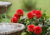 Погода немного улучшится в начале следующей недели: обновлённый прогноз
