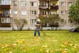 Свинарник в вашем доме? Что должен делать дворник и что не обязан