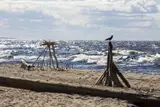 Царникава стала городом; этого ждали более 10 лет