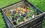 Компостная куча под окнами? Рижская дума объяснила, что теперь разрешено во дворах