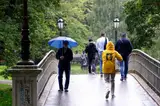 Желтое предупреждение: опять грозовые ливни и порывистый ветер