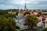 Трамп негласно посетил Эстонию, чтобы понять настроения в стране: правда, это был Трамп-jr