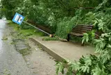 Не прошло и двух лет: государство расплатилось с компенсацией за прошлую бурю