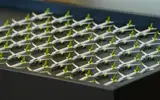 „Более удобные возможности“: airBaltic сокращает количество рейсов