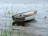 Химическое вещество попало в озеро Рушона. На месте работали спасатели