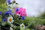 За все длинные выходные дожди и грозы ожидаются всего два дня: подробный прогноз