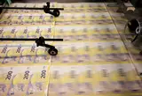 На закрытых счетах зависли 27 миллионов евро. Теперь им нашли нового хозяина