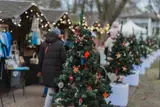 Хотите 1000 евро на Рождество? Юрмала проводит необычный конкурс