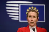 Кая Каллас обвиняет США в давлении на Украину с требованием капитуляции на условиях Путина