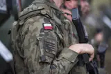 Сикорский: Польша получает сигналы о подготовке Россией «чего-то крупного» в этом году
