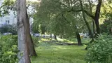 Нужны люди с бензопилами. После бури расчищают тропы Гауйского нацпарка