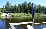 В Лигатне закрывают природные тропы: когда снова можно будет увидеть лесных обитателей?