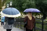 Во вторник снова дождь