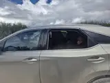 Под Мадоной задержали перевозчика нелегальных мигрантов