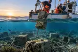 На дне греческого моря нашли тысячи бетонных блоков  — откуда они там появились?