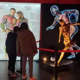BODIES — выставка №1 в мире о человеческом теле: отправьтесь в захватывающее путешествие внутрь человека!